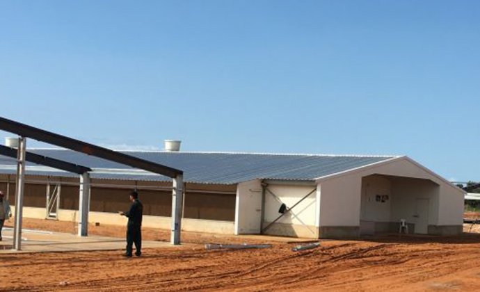 Steel structure Livestock house