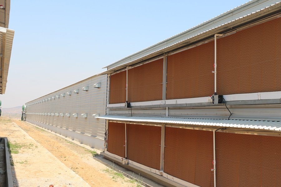 Double Floor Steel Structure Poultry 