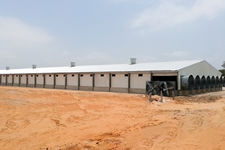Steel Structure Poultry Breeding Houses