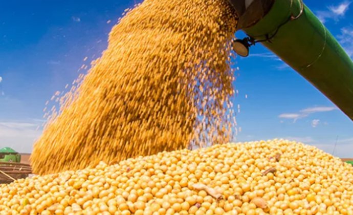 Ministry of Commerce: Chinese enterprises have already sold a considerable amount of US soybean pork